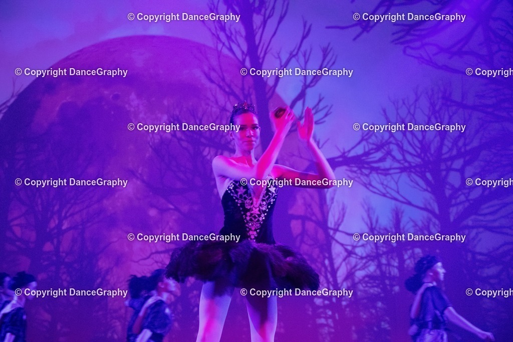 GPHY2825 | DanceGraphy - Realisiert mit Pictrs.com