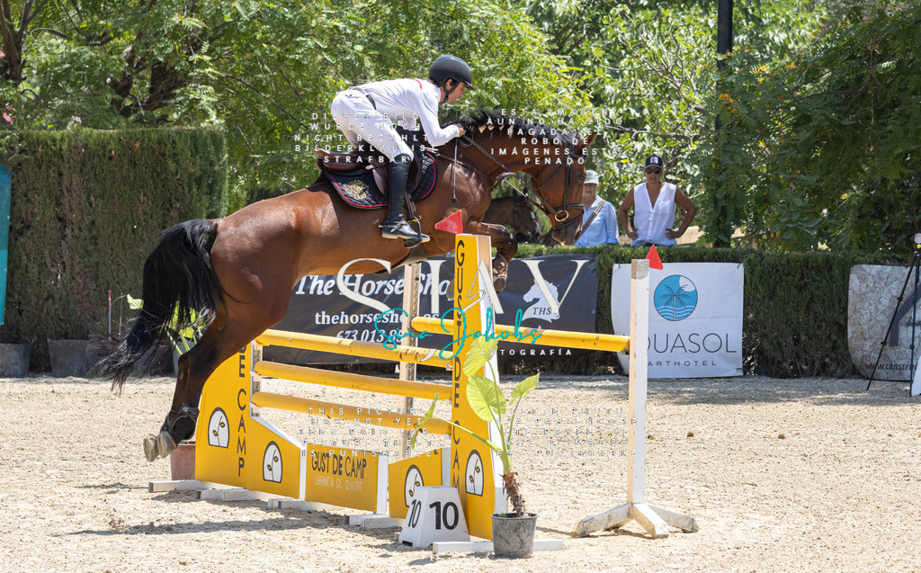 IMG_7371 | s-jay-photography - Realisiert mit Pictrs.com