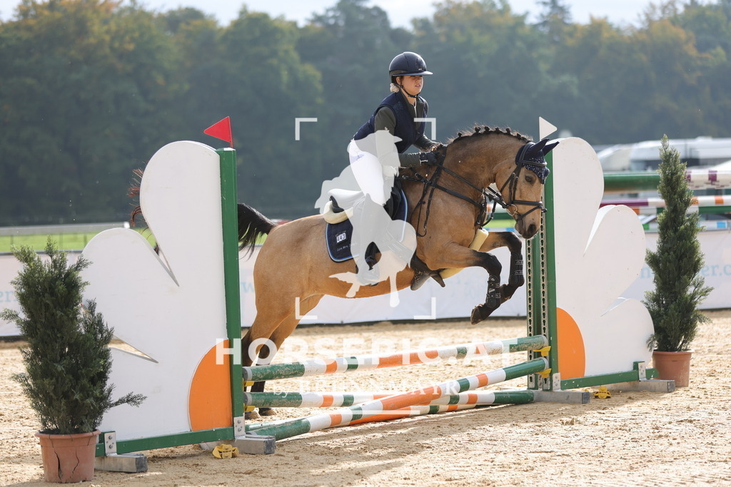 0P6A7765 | Willkommen bei Brunnmayr - Design & Fotografie – Ihrem Spezialisten für Reitturniere und Pferdeveranstaltungen in Oberösterreich, Salzburg und Bayern! Seit über 17 Jahren sind wir leidenschaftlich dabei.