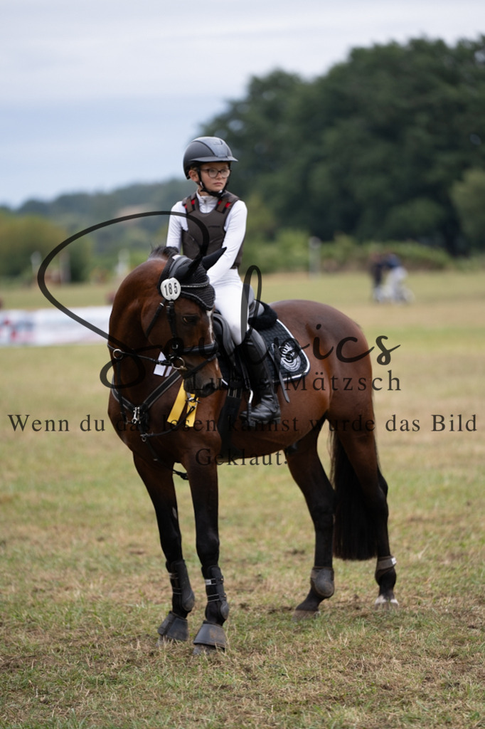 A7V00385 | Pferdefotograf