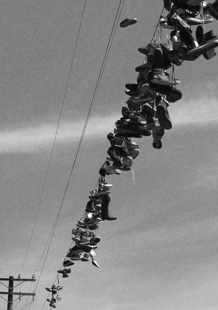 23455575821_0e91e61f2a_o | OLYMPUS DIGITAL CAMERA - Realisiert mit Pictrs.com