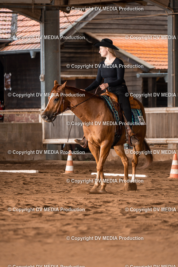 Erbach Tag 2-264 | dv-media-shop - Realisiert mit Pictrs.com