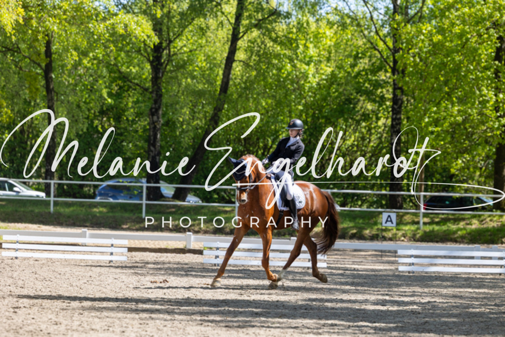 7I8A3644 | melanie-engelhardt-photography - Realisiert mit Pictrs.com