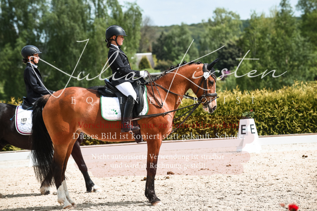 20230518_JK-Röhrsdorf-11-0827 | Pferde- und Turnierfotografie in Westsachsen. Pferdeportraits, Auftragszeichnungen und intuitive Kunst.