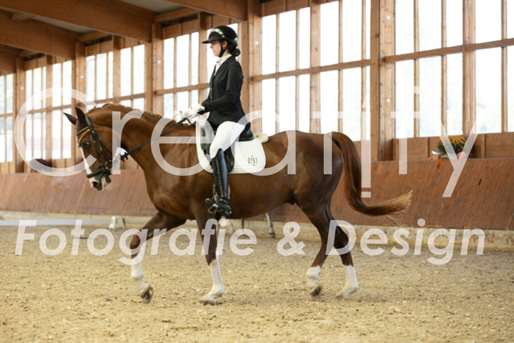 IMG_5223 | Creatify Fotografie