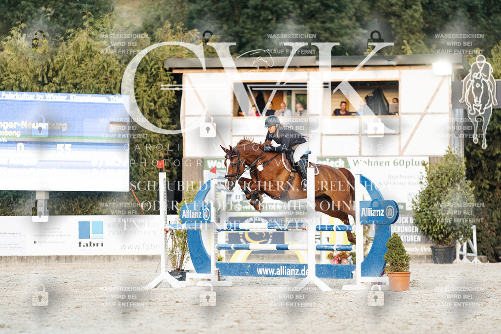 CK901510 | Turnierfotografie Pferdefotografie Trier Rheinland-Pfalz Pferdesport Reitsport Tierfotografie Sportfotografie Pferdevideo Pferdevideografie Equestrianvideography equestrianphotography  - Realisiert mit Pictrs.com