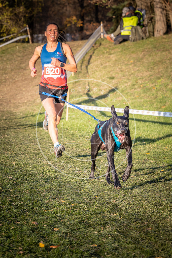 CaniXpix_0L8A0528 | Hundefotografie, Tierfotograf, Pfotenfotografie, Fotoshooting Hund, Hunde Portrait, Hundesport, Hundeportraits, Heideshooting, Hunde, Sportfotograf, Hundefotograf, Turnierhundsport, THS,  - Realisiert mit Pictrs.com