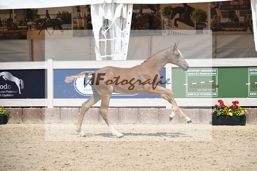 Arezzo Man x Clearway_HF_Maier u Mayerfoels_12250691 | hf-fotografie - Realisiert mit Pictrs.com
