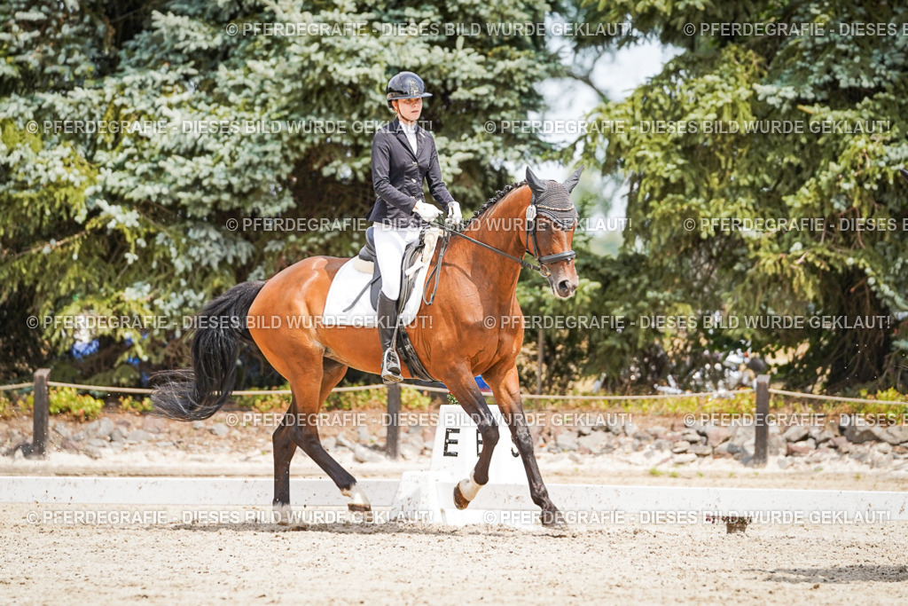 DSC03498 | Pferdegrafie