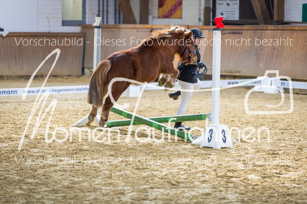 Sth-WBO25-Führ-WB-064 | MomenTaufnahmen Pferdesportfotos