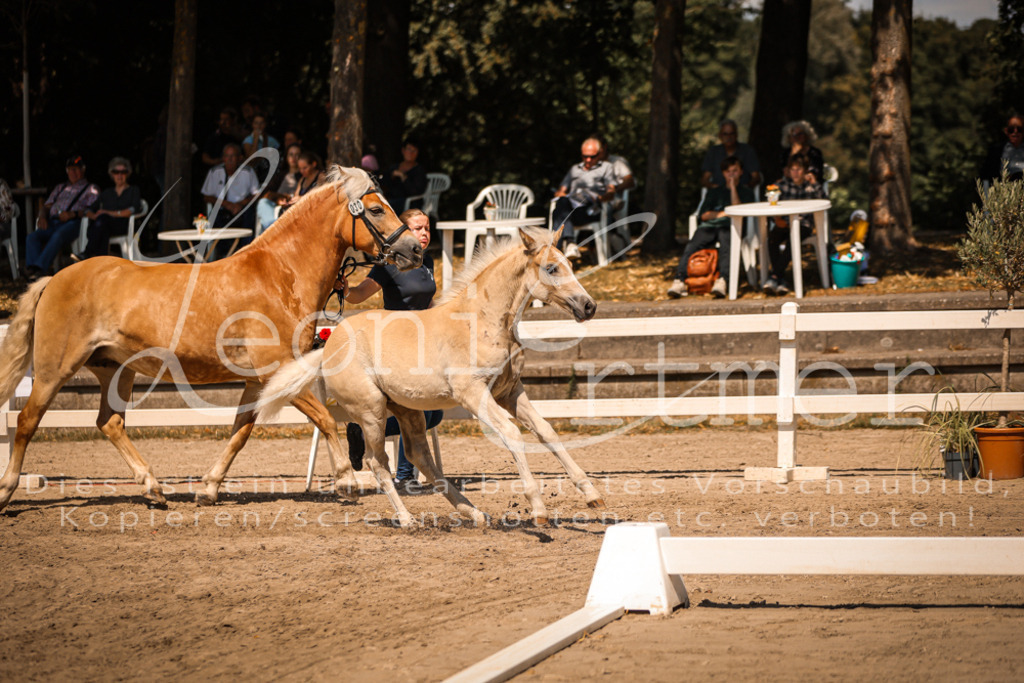 06.DoH00088 | Leoni Ertmer Photography - Realisiert mit Pictrs.com