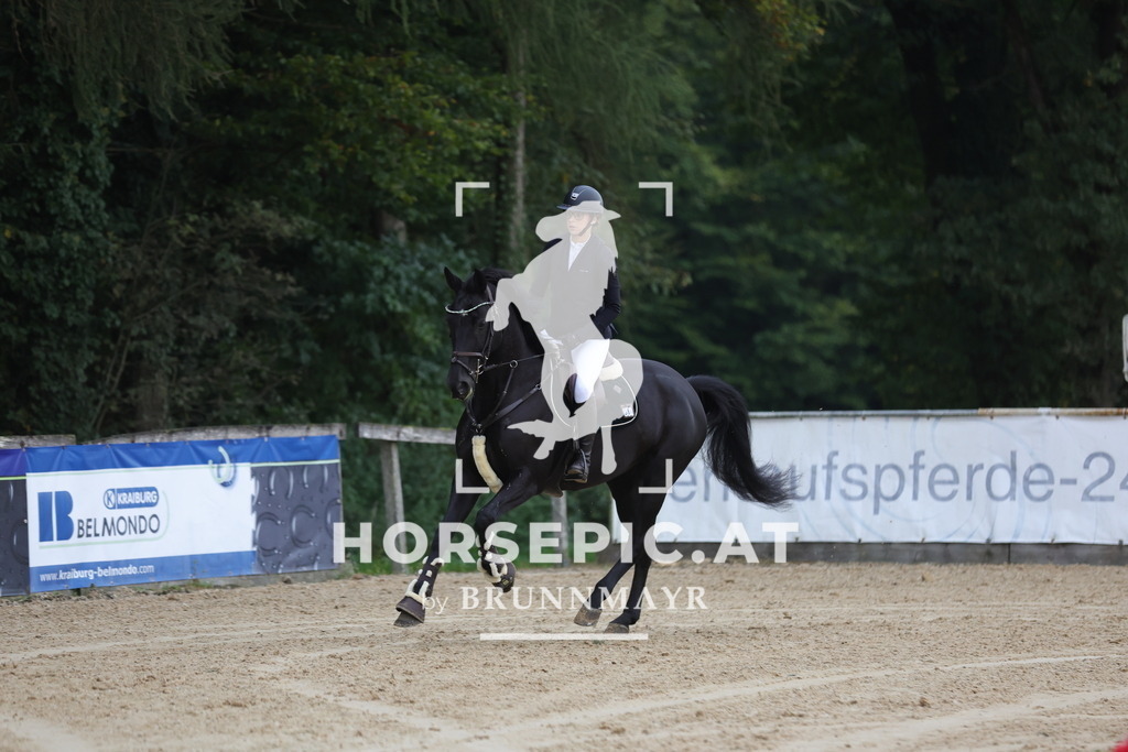 0P6A5111 | Willkommen bei Brunnmayr - Design & Fotografie – Ihrem Spezialisten für Reitturniere und Pferdeveranstaltungen in Oberösterreich, Salzburg und Bayern! Seit über 17 Jahren sind wir leidenschaftlich dabei.