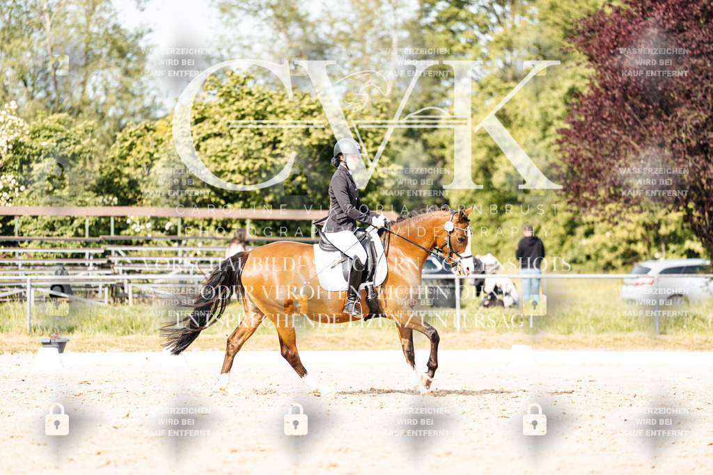 CK900527 | Turnierfotografie Pferdefotografie Trier Rheinland-Pfalz Pferdesport Reitsport Tierfotografie Sportfotografie Pferdevideo Pferdevideografie Equestrianvideography equestrianphotography  - Realisiert mit Pictrs.com