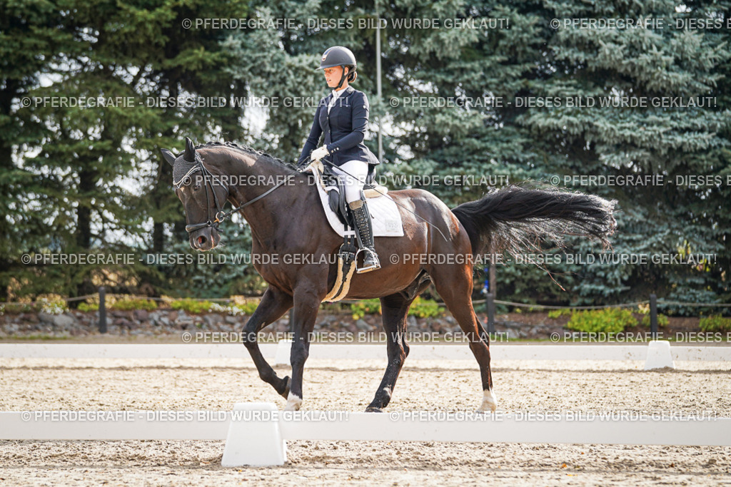 DSC00962 | Pferdegrafie