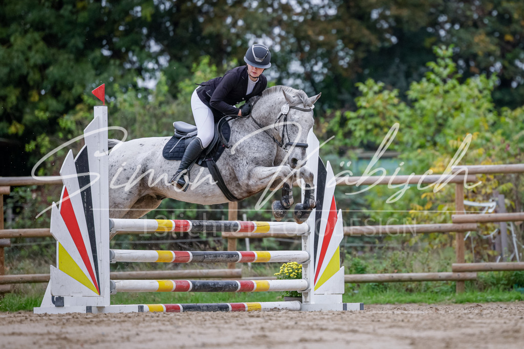 20251012-_3LI3436 | Tierfotografie Pferde, Hunde, Katzen, Haustiere.
Turnierfotografie Reitturniere, Reiten, Springreiten, Dressur in Hanau, dem Main-Kinzig-Kreis und dem Rhein-Main- Gebiet um Frankfurt