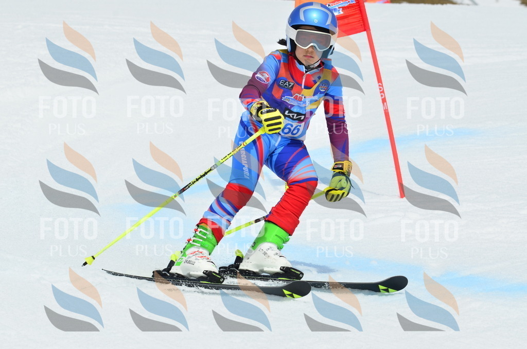 _ELE2961 | holidayphoto