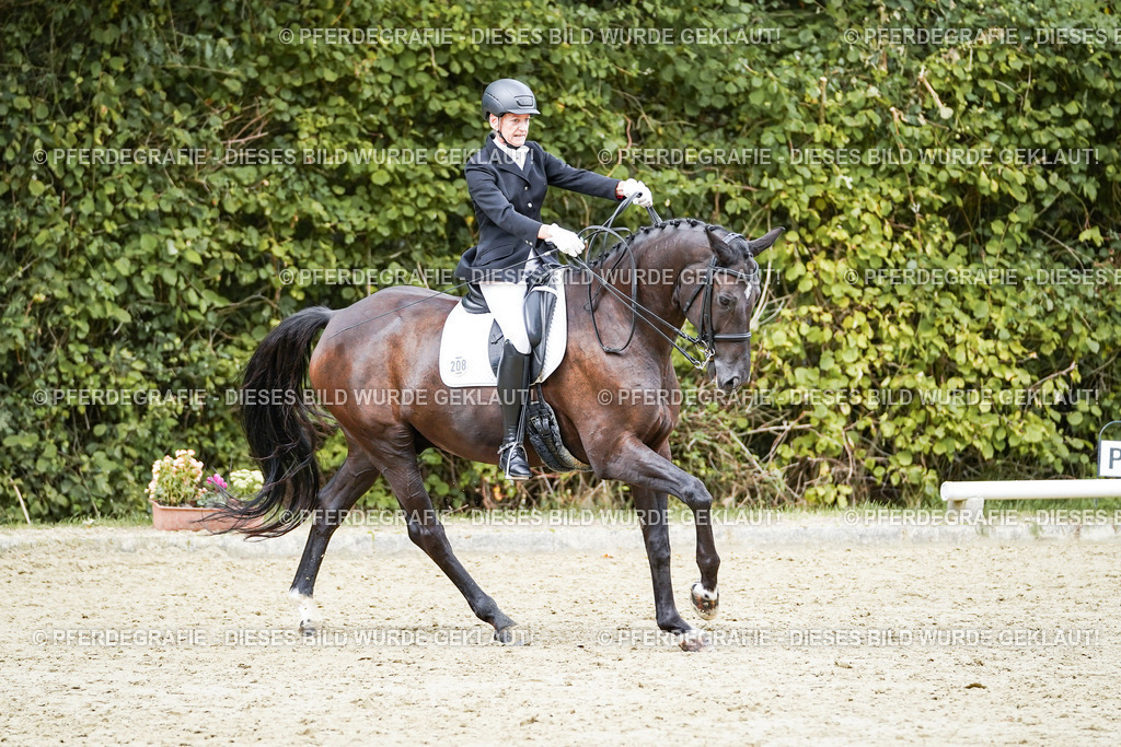 DSC05931 | Pferdegrafie