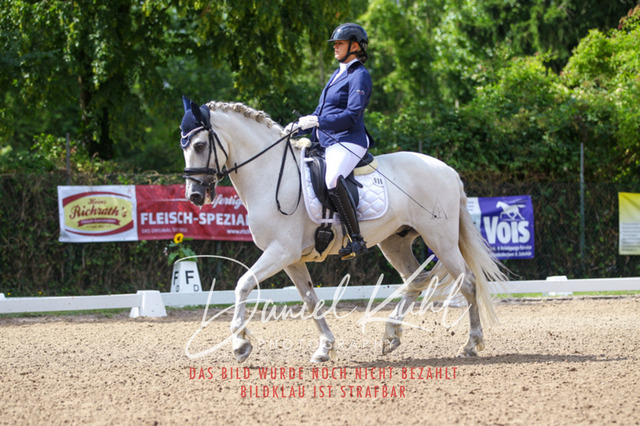 DKP41968 | Turniersportfotografie; Pferdefotografie; Dressurfotografie