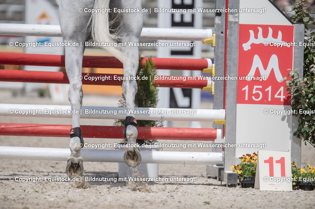 20240512_CCI4-S_Show-Jumping_0033 | Foto: Thomas Hartig