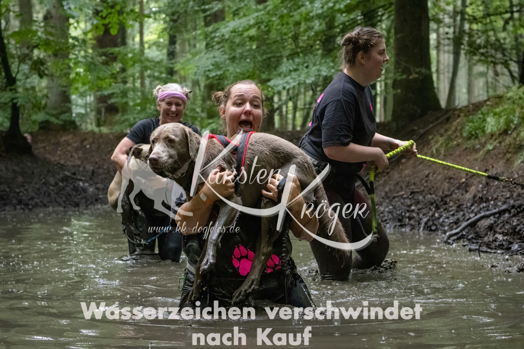 1320_ZZ90344-Bearbeitet | kk-dogfotos
