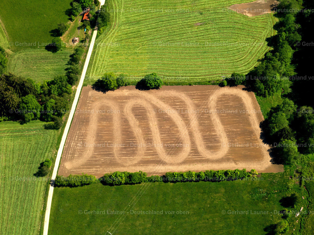 2724401 | Feldstrukturen bei Haslach