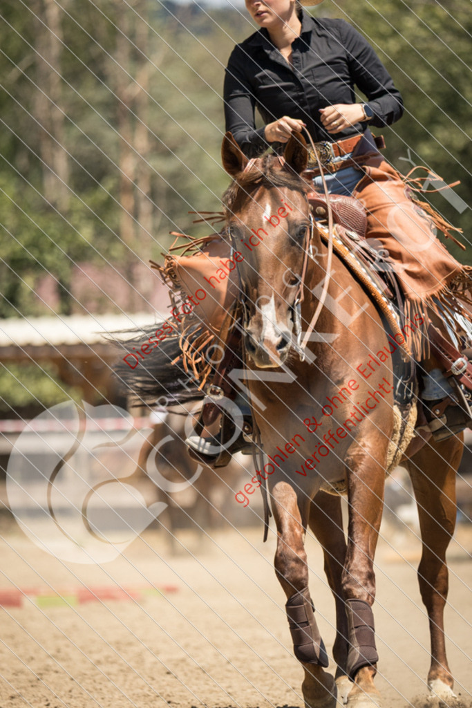 IMG_0338 | Sport-, Event- und Tierfotos in Profiqualität. Einfach auswählen, bestellen und herunterladen. Dein Moment – perfekt festgehalten.