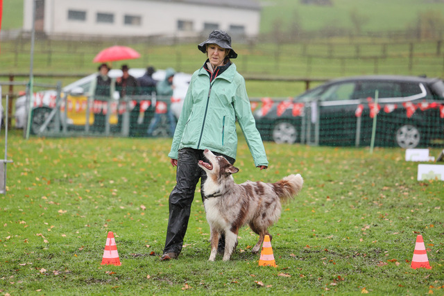 2025_Rally_Obedience_SM-215 | Ich fotografiere Hundeausstellungen, Sportanlässe, Zuchtstätten, Hundezucht, Hundeportrait, Lagotto - Realisiert mit Pictrs.com