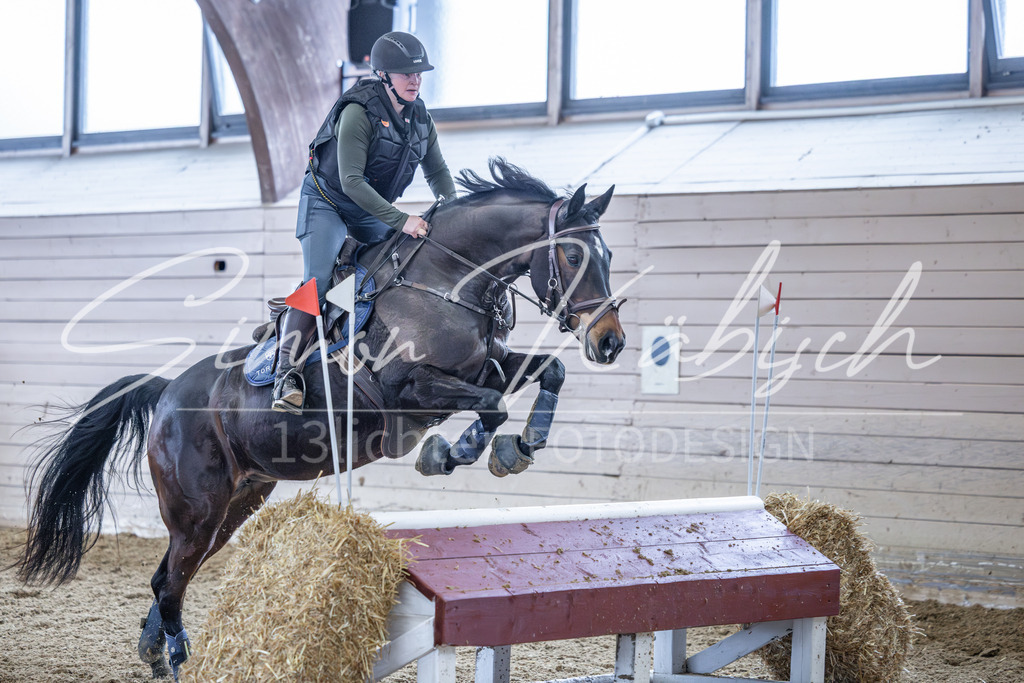 20260221-_3LI0178 | Tierfotografie Pferde, Hunde, Katzen, Haustiere.
Turnierfotografie Reitturniere, Reiten, Springreiten, Dressur in Hanau, dem Main-Kinzig-Kreis und dem Rhein-Main- Gebiet um Frankfurt