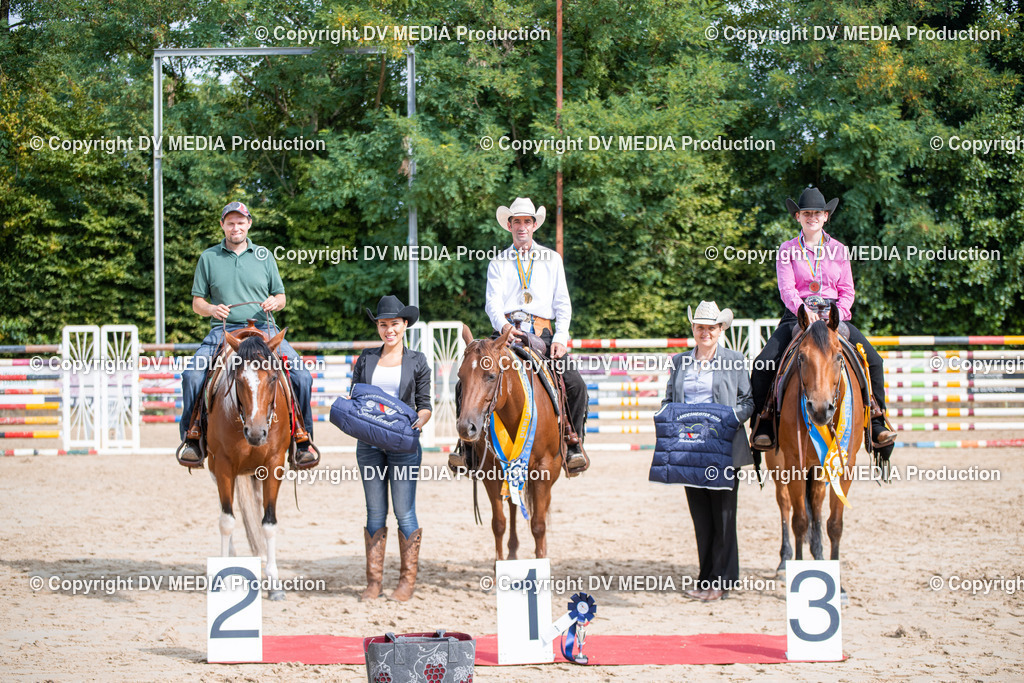 ZS3_4920 | dv-media-shop - Realisiert mit Pictrs.com