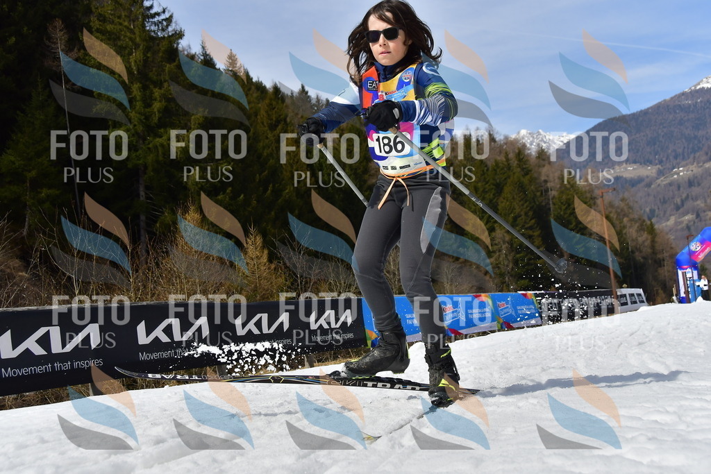 _DSC0889 | holidayphoto