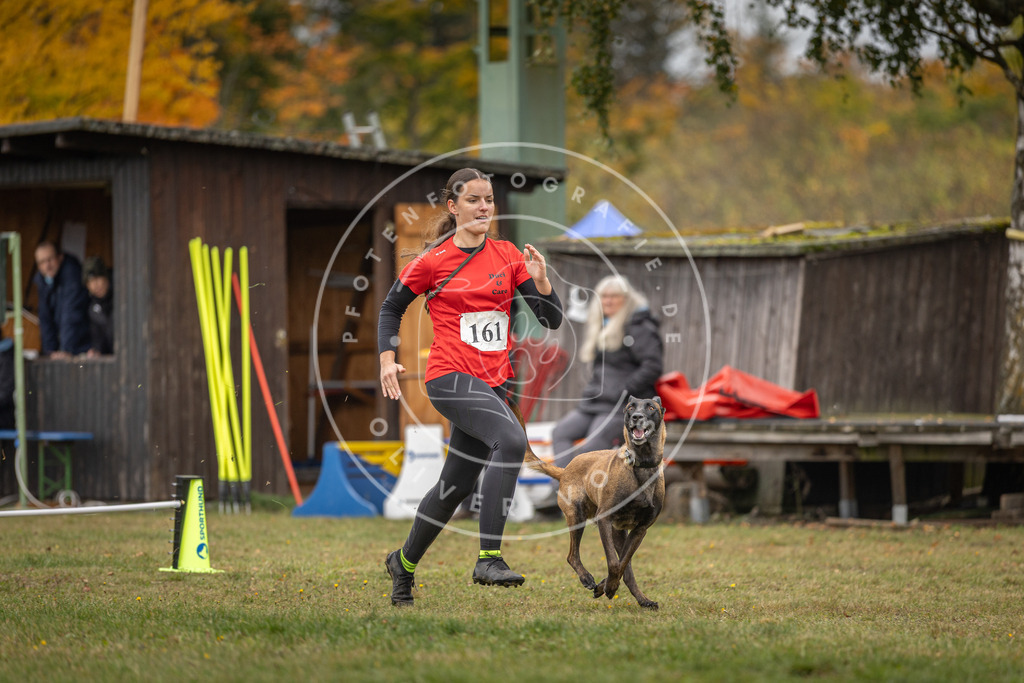 Pfotenfotografie_DV3A4990 | Hundefotografie, Tierfotograf, Pfotenfotografie, Fotoshooting Hund, Hunde Portrait, Hundesport, Hundeportraits, Heideshooting, Hunde, Sportfotograf, Hundefotograf, Turnierhundsport, THS,  - Realisiert mit Pictrs.com