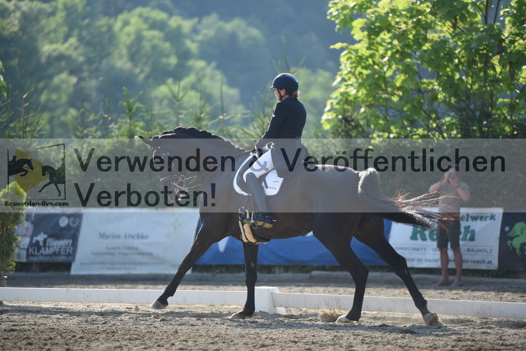 DSC_3339 | equestrian-live-com
