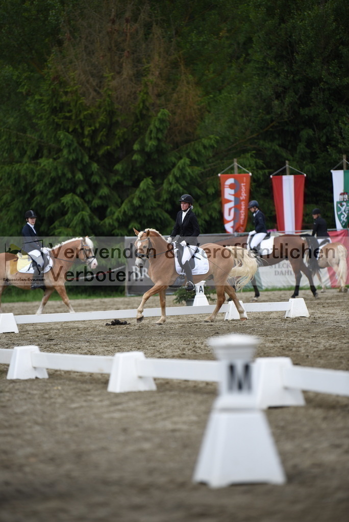 DSC_8597 | equestrian-live-com