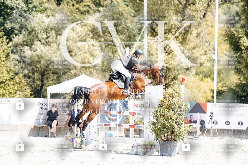 CK900324 | Turnierfotografie Pferdefotografie Trier Rheinland-Pfalz Pferdesport Reitsport Tierfotografie Sportfotografie Pferdevideo Pferdevideografie Equestrianvideography equestrianphotography  - Realisiert mit Pictrs.com