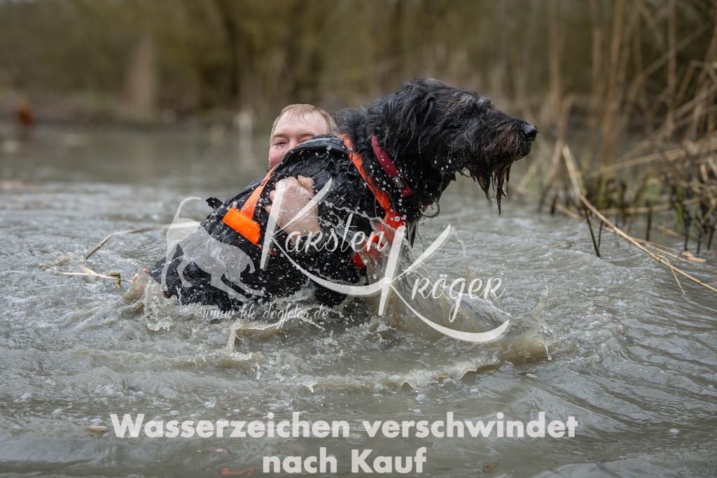 1019_ZZ98537 | kk-dogfotos