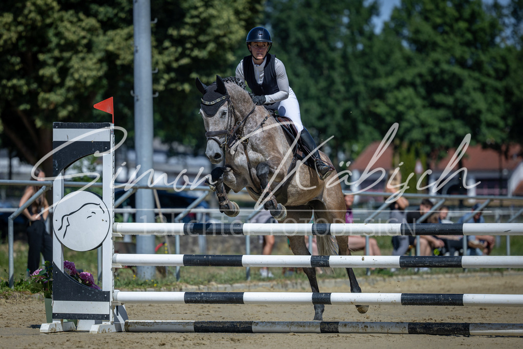 20260704-_3LI7793 | Tierfotografie Pferde, Hunde, Katzen, Haustiere.
Turnierfotografie Reitturniere, Reiten, Springreiten, Dressur in Hanau, dem Main-Kinzig-Kreis und dem Rhein-Main- Gebiet um Frankfurt