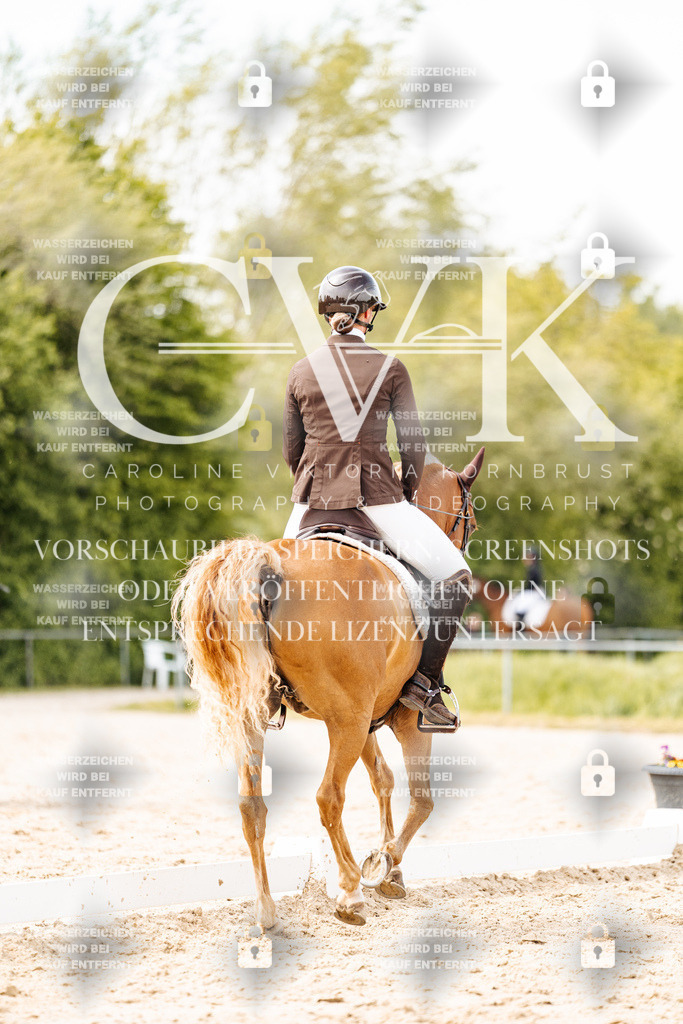 CK901398 | Turnierfotografie Pferdefotografie Trier Rheinland-Pfalz Pferdesport Reitsport Tierfotografie Sportfotografie Pferdevideo Pferdevideografie Equestrianvideography equestrianphotography  - Realisiert mit Pictrs.com