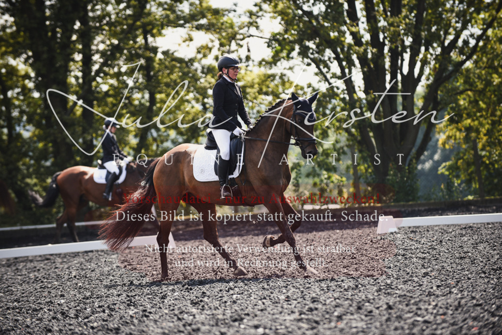DSC_4102 | Pferde- und Turnierfotografie in Westsachsen. Pferdeportraits, Auftragszeichnungen und intuitive Kunst.