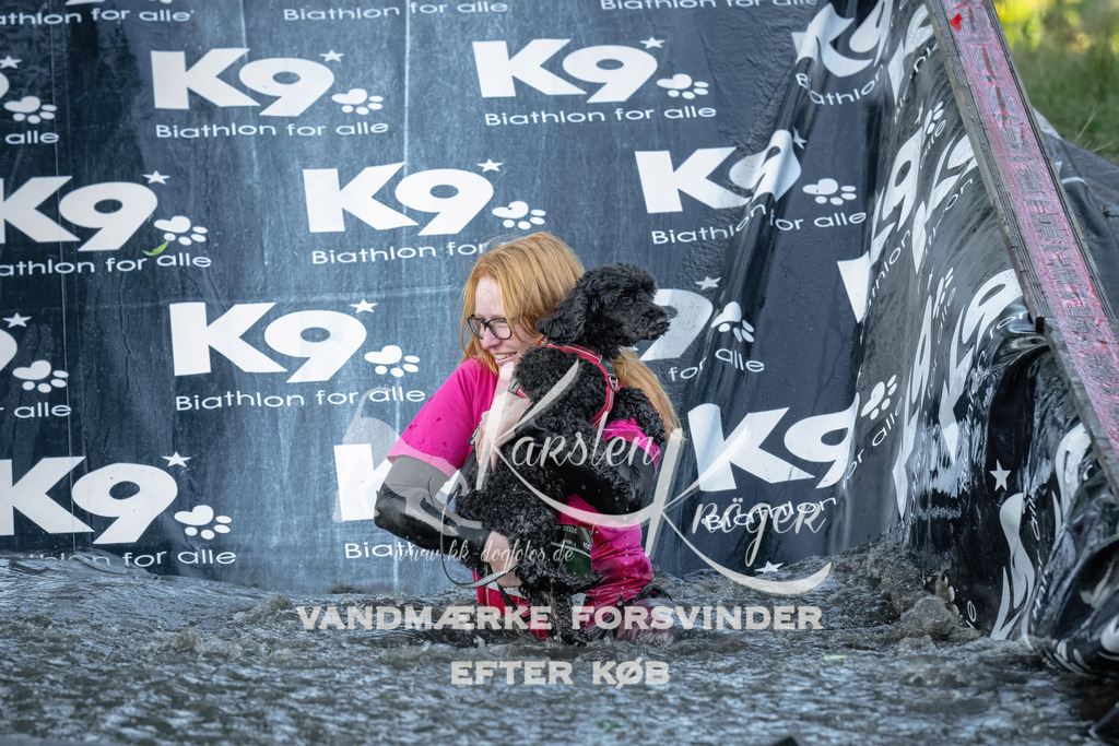 1629_ZZ92385 | kk-dogfotos