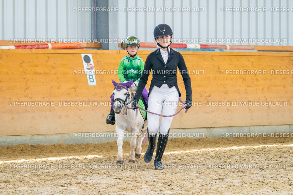 DSC00171 | Pferdegrafie