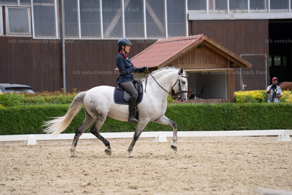 WS_DR_11_sinafilmart_IN01841 | working equitationturnier fotograf videograf stoibphotography marixx film working equitation deutschland reitsport turnierfotografie eventfotografie equestrian events