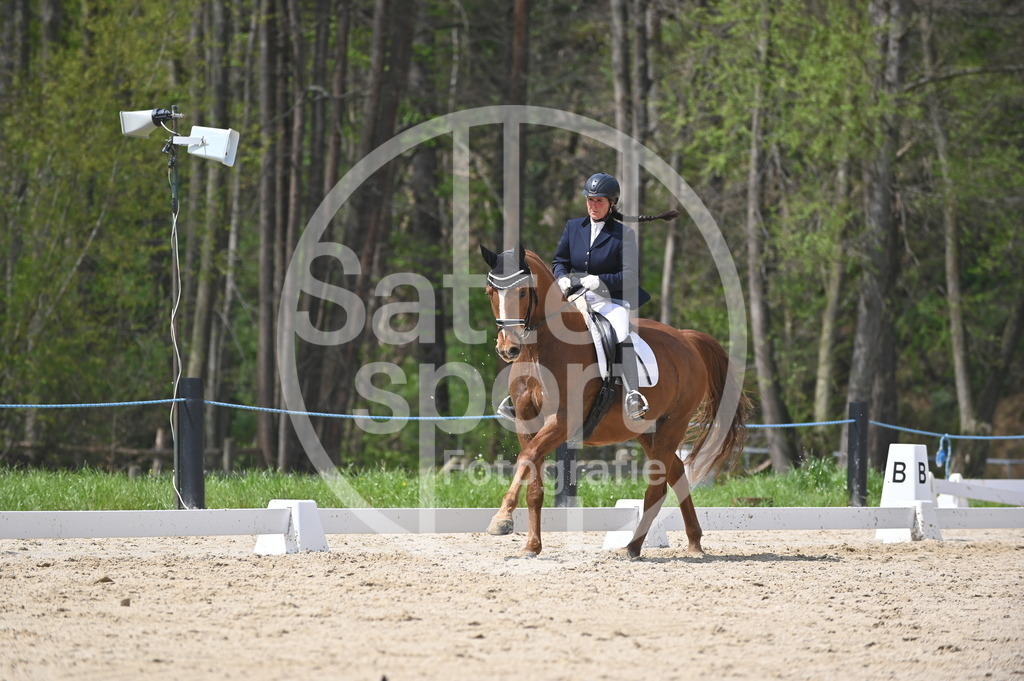 DSC_2951 | sattelsport - Realisiert mit Pictrs.com