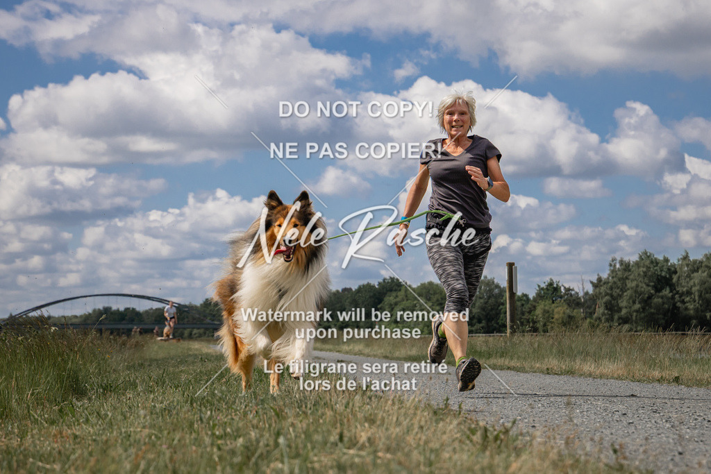 nelerasche_BuHu2026_SaCC1100-1200_06 | nelerasche