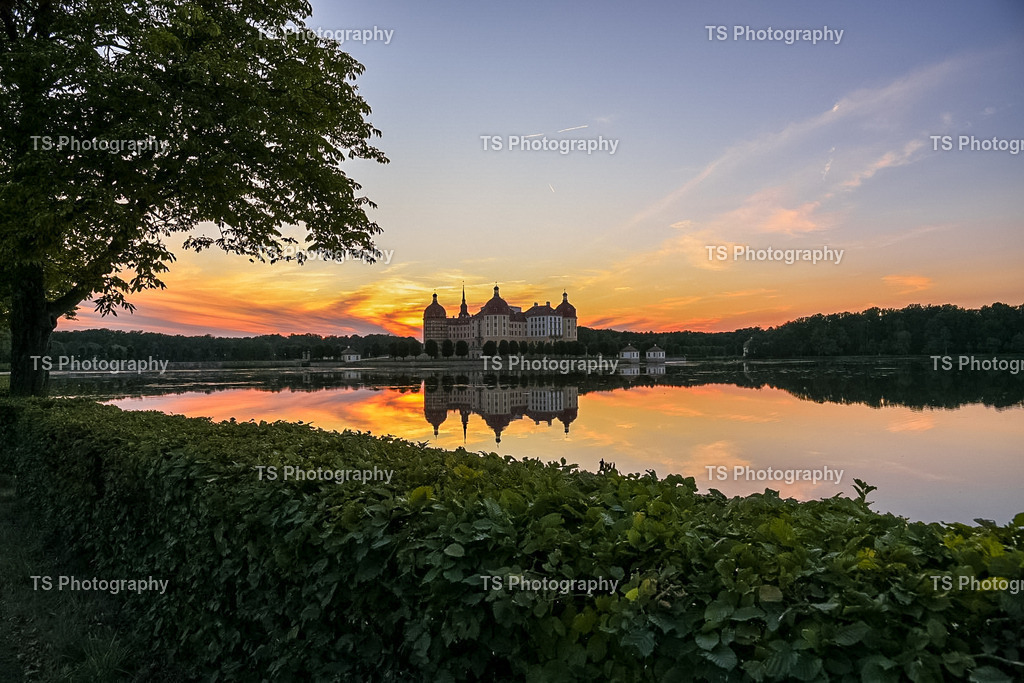 IMG_8371 | TS Photography - Realisiert mit Pictrs.com