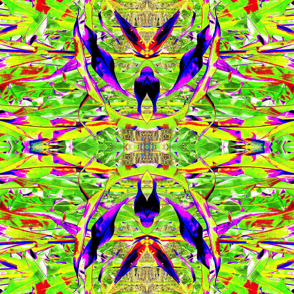 Die Farbe des ungesprochenen Schmerzes | Moderne Digital Art – Exklusive Kunstwerke für dein Zuhause
Entdecke einzigartige Digital Art und verleihe deinen Räumen eine moderne und stilvolle Atmosphäre. Unsere hochwertigen Kunstdrucke kombinieren innovative Technik mit künstlerischer Kreativität und bringen abstrakte, geometrische und futuristische Designs direkt an deine Wand.
✔ Hochauflösende Drucke in brillanten Farben
✔ Exklusive Motive von talentierten Digital Artists
✔ Verschiedene Formate für jeden Raum und Stil
✔ Perfekt als Wandkunst für Wohnzimmer, Büro oder Galerie
Lass dich von unserer modernen, abstrakten und minimalistischen Kunst inspirieren und finde dein neues Lieblingsmotiv! Jetzt bestellen und dein Zuhause mit hochwertiger Digital Art verschönern.
 - Realisiert mit Pictrs.com