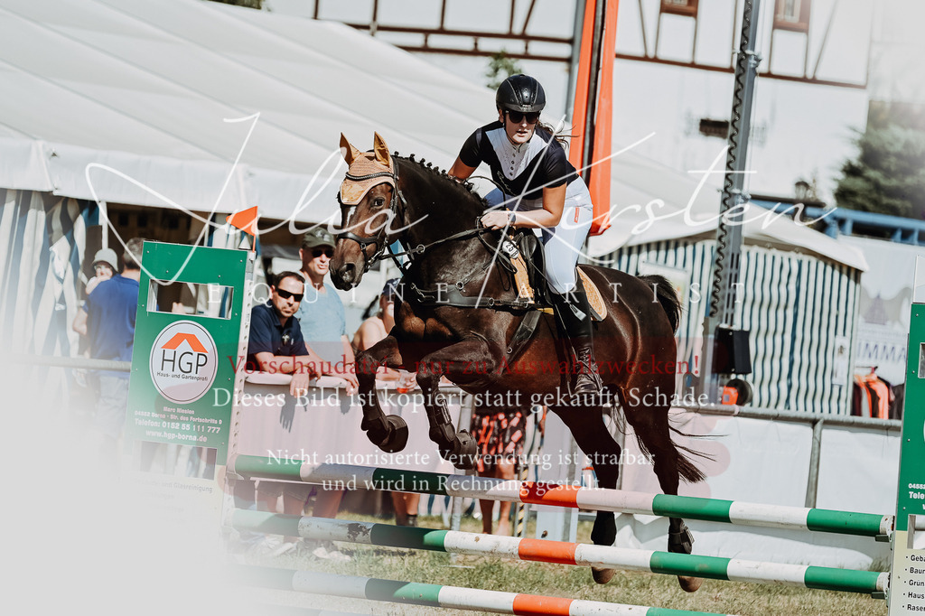 DSC_9649 | Pferde- und Turnierfotografie in Westsachsen. Pferdeportraits, Auftragszeichnungen und intuitive Kunst.