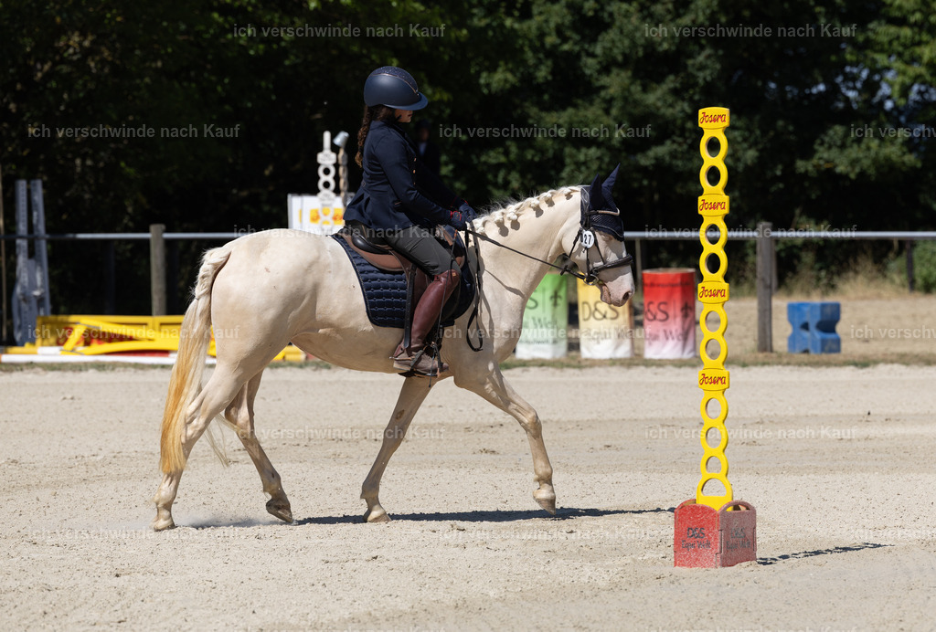 WE_Trail_27_KerstinBernhardt-3 | working equitationturnier fotograf videograf stoibphotography marixx film working equitation deutschland reitsport turnierfotografie eventfotografie equestrian events