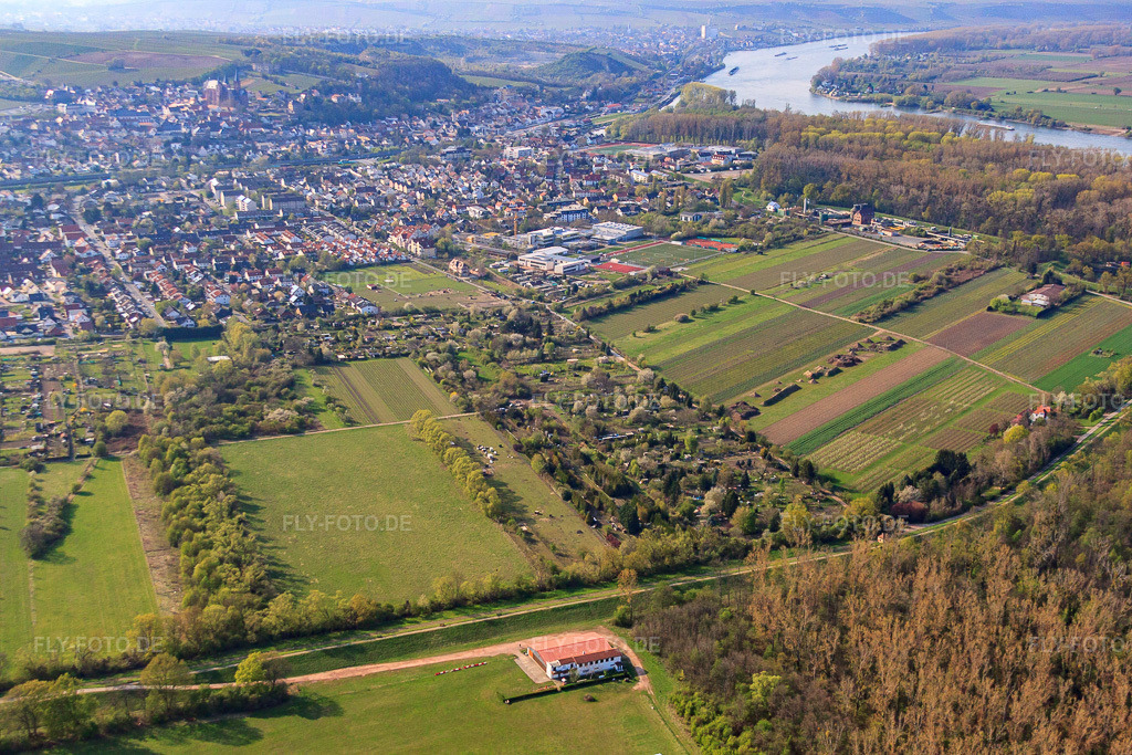 Luftbild: Stadtansicht von Osten in Oppenheim im Bundesland Rheinland-Pfalz in Deutschland. Foto: IMG_49813.jpg vom 13.04.2012 durch Werner Riehm/FLY-FOTO.de