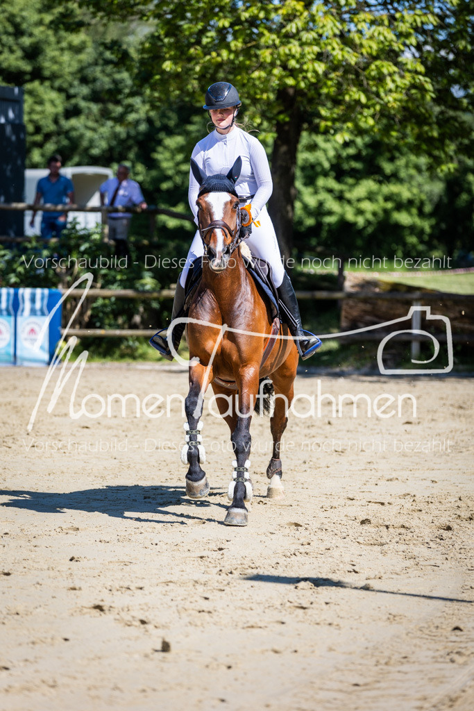 Donop24-M-Spr-098 | MomenTaufnahmen Pferdesportfotos