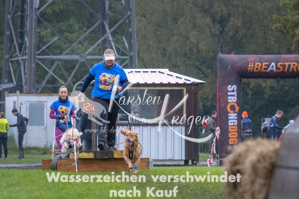 1229--16 | kk-dogfotos